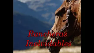 RANCHERAS GRUPERAS INOLVIDABLES video Torres JL