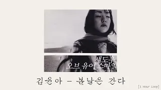 [1 Hour Loop/한시간] 김윤아 - 봄날은 간다 1시간 듣기