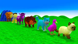 Paint & Animals Cat, Duck, Dog, Hippo, Cow, Monkey, Elephant, Fountain Crossing Turtle Cartoon Game