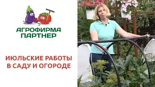 ИЮЛЬСКИЕ РАБОТЫ В САДУ И ОГОРОДЕ