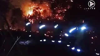 Jubilant firefighters sing and dance along fire line in Southern Cape