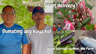 Dumating ang Kuya ko! + Quick harvest sa Mini-Me Farm + May plant delivery?! | BapangAndringVlogs