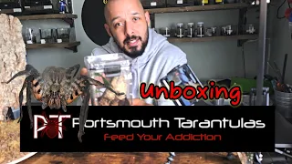 Portsmouth Tarantulas unboxing #subscribe #tarantula #fyp