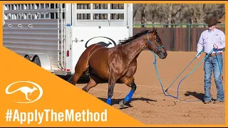 Training Tip: Fixing Your Horse's Fidgety Feet Outside the Trailer