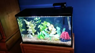 The Top Fin Essential 29 Gallon Tank Kit Is Disappointing