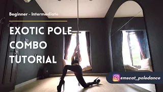 Exotic Pole Dance Short Combo Tutorial | Pole Dance Indonesia | Cat Nyx