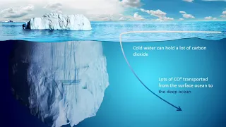 Carbon Sequestration - Biological Pump, Physical or Solubility Pump and Vegetation