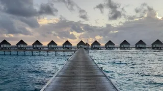 Centara Grand Island Resort Maldives review. Club sunset overwater villa with pool room tour