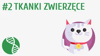 Tkanki zwierzęce #2 [ Tkanki ]