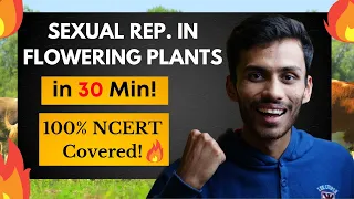 Sexual Reproduction in Flowering Plants FAST One SHOT!🔥| Full Revision in 20 Min | Class 12 | NEET