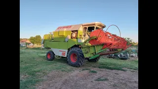 CLAAS Dominator 106, Aratás 2023.  év