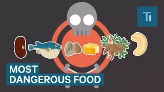 These Are 6 Of The Most Dangerous Foods In The World