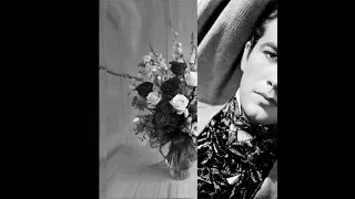 My Tribute to Robert Taylor- Can't Help Lovin' Dat Man