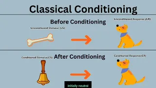 Classical conditioning|Ivan Pavlov Experiment| Psychology Class