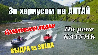 Сравнение лодки Solar и Выдра/Алтай - за хариусом на рыбалку/Как нас унизили местные на реке #1