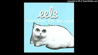 Eels - Novocaine For The Soul [1996] [magnums extended mix]