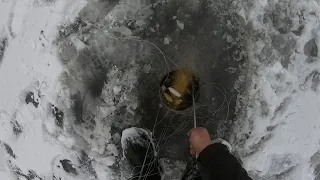 Я ДУМАЛ ОН РАЗОРВЁТ ХАПУГУ И УЙДЁТ... УДАЧНАЯ РЫБАЛКА НА ХАПУГИ НА СИБИРСКОЙ ЗАКОРЯЖЕННОЙ РЕЧКЕ...