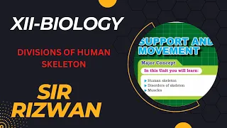 DIVISIONS OF HUMAN SKELETON