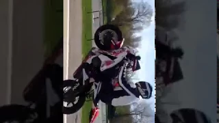 Cbr1000 rr Wheelie