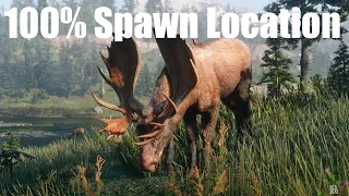 RDR2 Western Bull Moose Location 100% Spawn