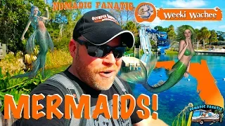 Weeki Wachee Mermaids ~Tarpon Springs Sponges & Warmest Water
