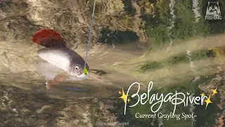 (RussianFishing4) Belaya River Current Grayling Spot Check!