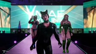 (REQUEST) ROBIN VS CATWOMAN / HARLEY QUINN & POISON IVY ( iron man submission match )