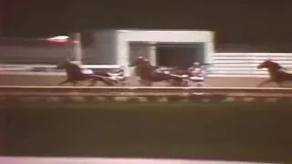 1981 Yonkers Raceway - Open Pace - Dorado Hanover
