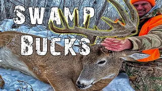 Manitoba Swamp Bucks