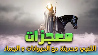 حصريا و لأول مره ..... الفيلم الديني معجزات " حبيب الله  ﷺ " وحديثه مع الحيوانات و الجماد