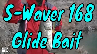 How to Fish the River 2 Sea S-Waver 168 Swimbait in Cold Water. (Winter)