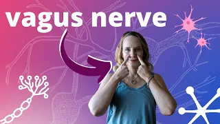Don’t Overlook this Vagus Nerve Acupressure👃Point