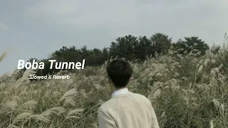 Boba Tunnel | Anupam Roy 𝙎𝙡𝙤𝙬𝙚𝙙 & 𝙍𝙚𝙫𝙚𝙧𝙗🎧Lofi