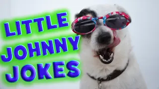 Belly Laughs Guaranteed: TOP 15 Funny Little Johnny Jokes!