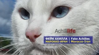 Achill Life: Fake Achilles & Morocco - Iran / Фейк Ахилла и предсказание матча Марокко - Иран