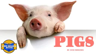 📕  Kids Book Read Aloud: PIGS by Anne Miranda.