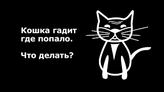 Как отучить кошку гадить где попало.