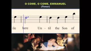 Q13d O Come, O Come Emmanuel (Tenor)