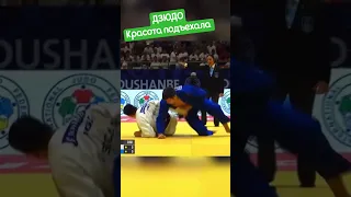 красота подъехала. #judo #иппон #judoka #mma #sport #борьба #бросок #дзюдо #победа #martialart