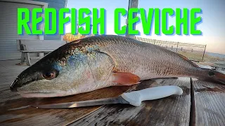 REDFISH CEVICHE - Catch & Cook