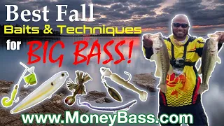 2021 Best Fall Fishing Lure/Baits Techniques (Catch more Bass)