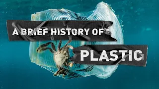 Plastic: how did we get into this mess?