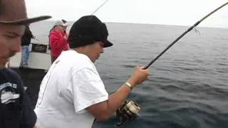 Bluefin tuna action aboard the Dolphin II Dan Hernandez | SPORT FISHING