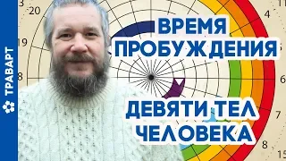 Время пробуждения девяти тел человека По книге ВОЛХВЫ В А Шемшук