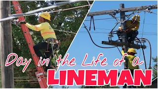 Day in the Life of a Lineman: The Unsung Hero | TIME-LAPSE