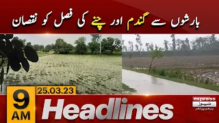 Damage to wheat and gram crops due to rains | News Headlines 9 AM | Express News