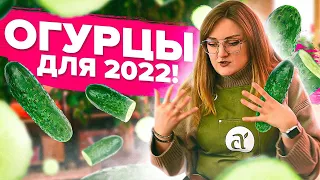 УРОЖАЙ даже в МАЕ! ТОП огурцов для 2022