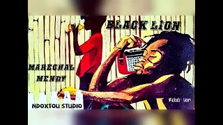 BLACK LION * REBEL LION *( OFFICIAL AUDIO)MARECHAL MENDY FEAT NDOXTOU STUDIO