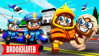 Ik Help Mijn Zusje ONTSNAPPEN Uit De Gevangenis In Brookhaven! (Roblox)