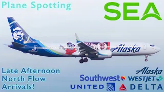 PLANE SPOTTING| Seattle SEA| Late Afternoon North Flow Arrivals!| ASA, DAL, UAL, SWA, WJA| HD
